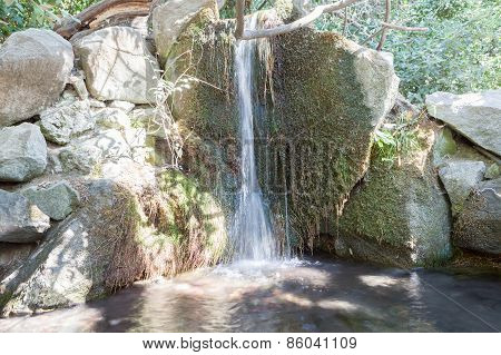 Falls In A Summer Garden, In The Crimea