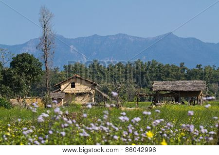 Landscape and traditional village in Terai, at Thakurdwara, Bardia, Nepal
