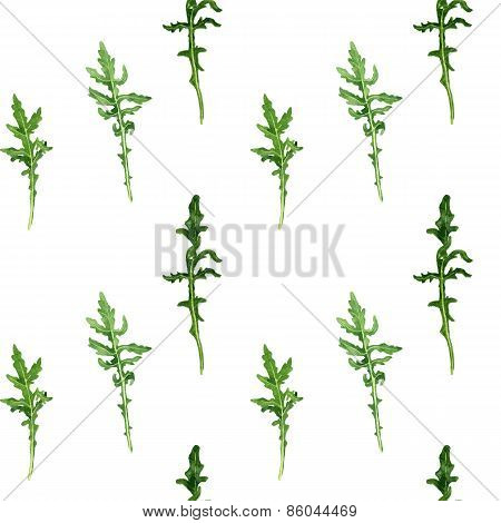 seamless pattern with leaves of arugula