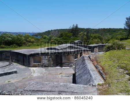 The fortification of middlehead