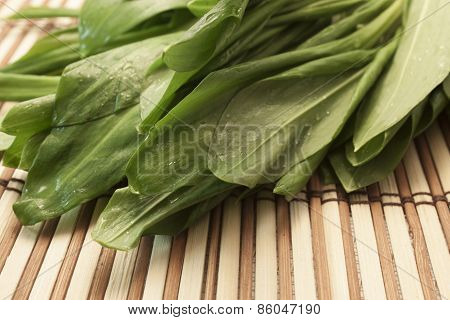 Fresh Green Leaves Of Lettuce