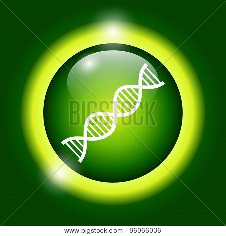 Vector Dna Icon
