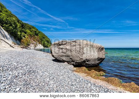 Foundling On Shore Of The Baltic Sea