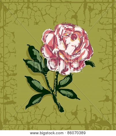 rose