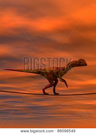 Concept or conceptual abstract business metaphor as wild heavy dinosaurus balancing on rope over sunset sky background