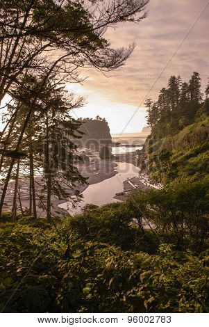 Ruby Beach - Portrait