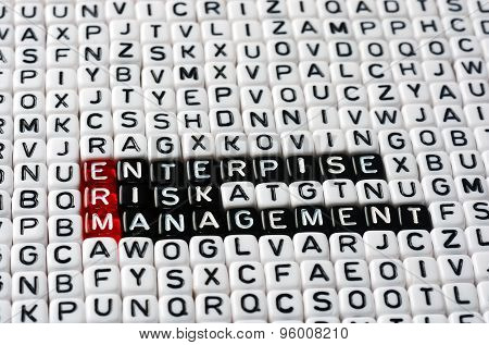 Erm Enterprise Risk Management