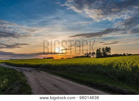 Beautiful Sunset On A Country  Road With Blue Sky And Clouds