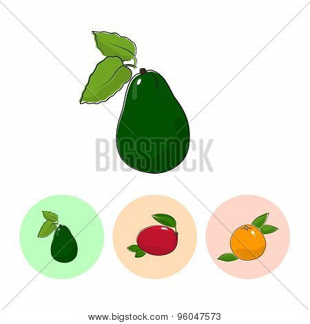 Fruit Icons, Avocado ,mango, Grapefruit