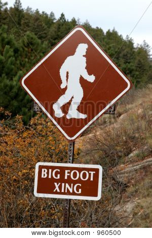 Beware Of Big Foot