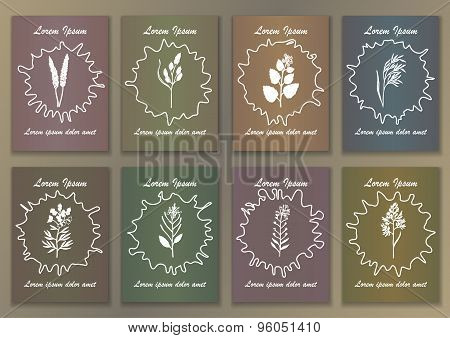 Set Vintage Posters with hand drawn ink herbs