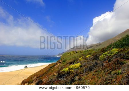 Spiaggia di Big Sur