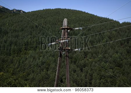Old Wooden Electric Pole
