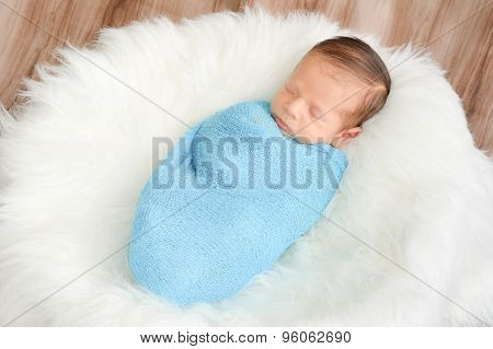 Newborn sleeping in a cocoon tasty