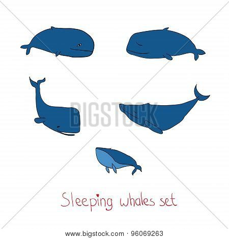 Vector Illustration With Contour Cute Sleeping Whales