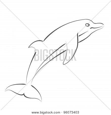 Sketched dolphin.