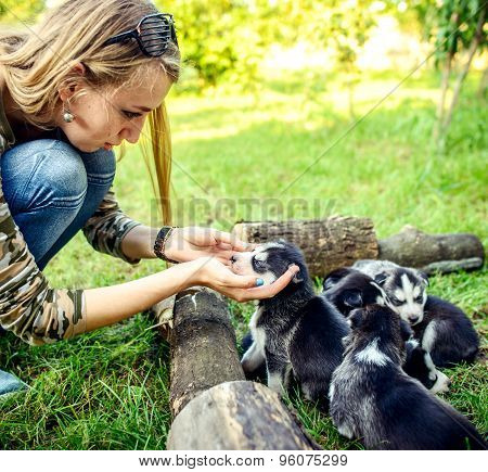 Pretty Little Husky Puppy Outdoor In Womans Hands