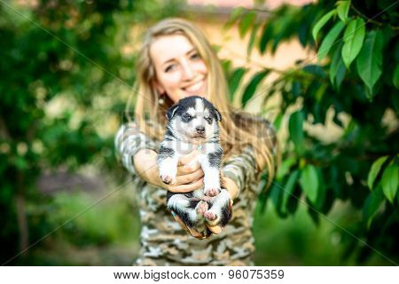 Pretty Little Husky Puppy Outdoor In Womans Hands