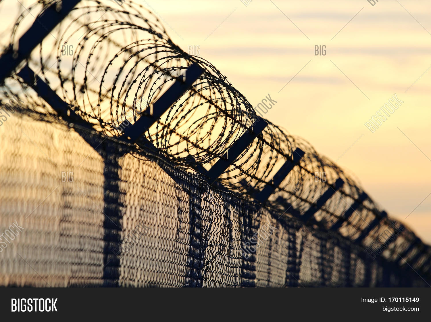 Barbed Wire Steel Wall Image & Photo (Free Trial) Bigstock