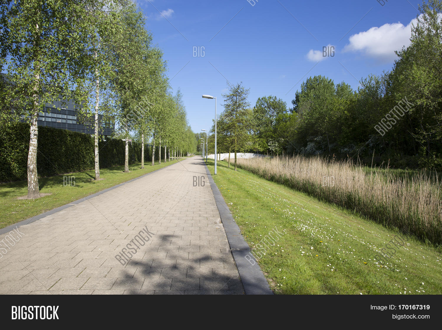 Foot Path Though Green Image & Photo (Free Trial) | Bigstock