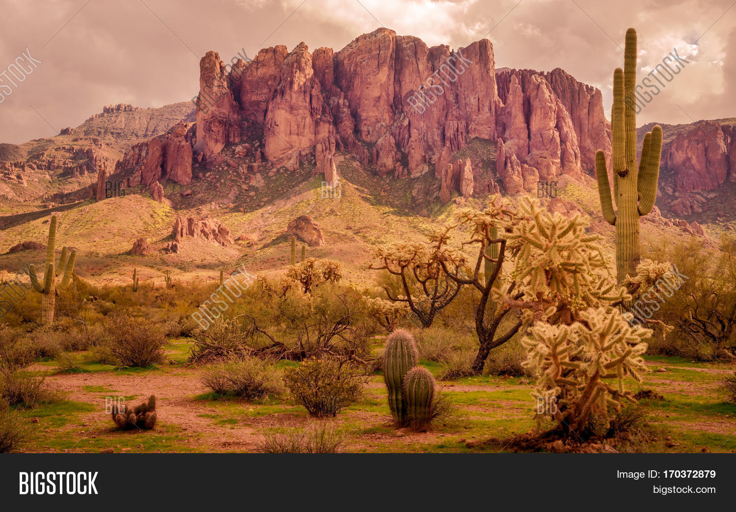Arizona Desert Image & Photo (Free Trial) Bigstock
