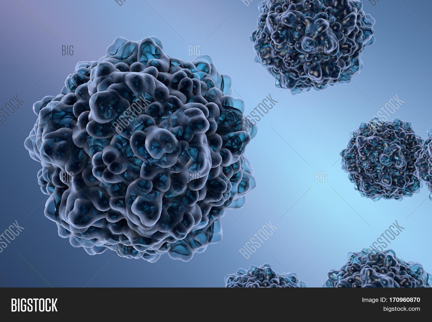 Parvovirus B19 On Image & Photo (Free Trial) Bigstock