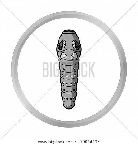 Caterpillar icon in monochrome design isolated on white background. Insects symbol stock vector illustration.