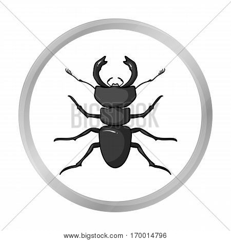 Forest red ant icon in monochrome design isolated on white background. Insects symbol stock vector illustration.