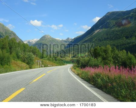 Fiordos noruegos