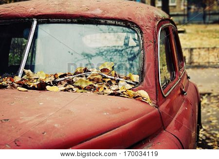 Rusty old car under the fallen leafs