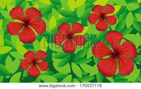 Red hibicus flowers in the bush illustration