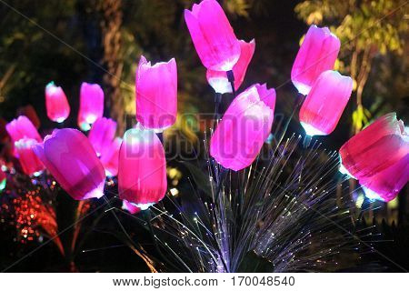 Light pink flower is Valentine on February is romantic tonight.