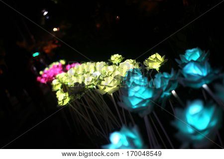 Flower lighting is beautiful in garden lighting festival.