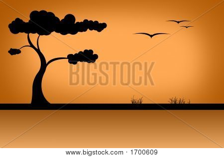 Savanna_Orange_Vector