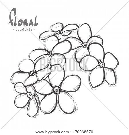 me-nots on a white background for your inspiration