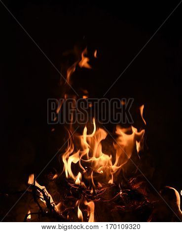 Closeup of Burning fire on black background.