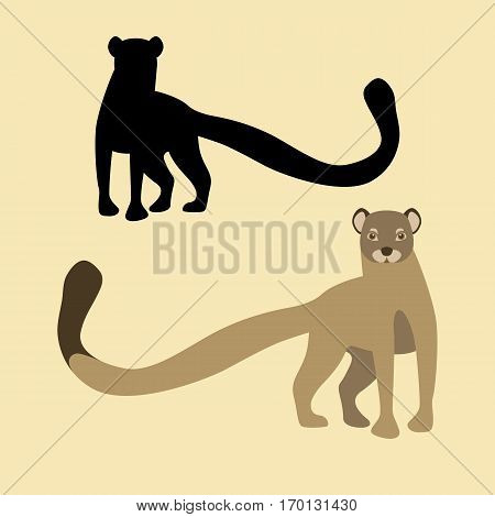 mongoose vector illustration style Flat silhouette black