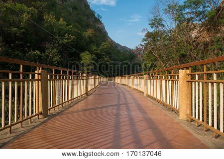 Bridge In Forest