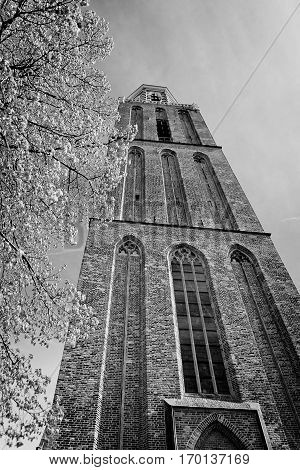 Black and wjite view of a church brick tower in Zwolle, the Netherlands