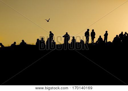 Traena festival 2014 people standing on the top of a hill dmiring the midnight sun