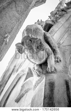 Gargoyle of the Saint Michel church spire Bordeaux France