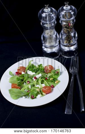 Tasty green salade with tomato and goat cheese