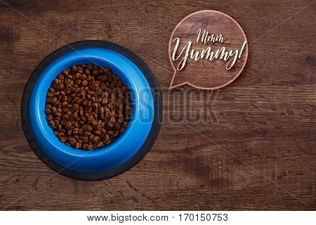 Bowl of dry kibble dog food. Mmm yummy speech bubble. Healthy pets feed. Blue plate on wooden rustic background.