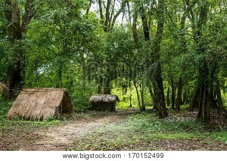 Typical house of vedda people living in Sri Lanka