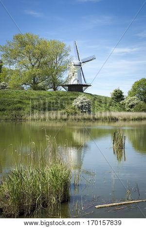 Typical Dutch landscape with a canal and a windmill, Molen de Koe, Veere, The Netherlands