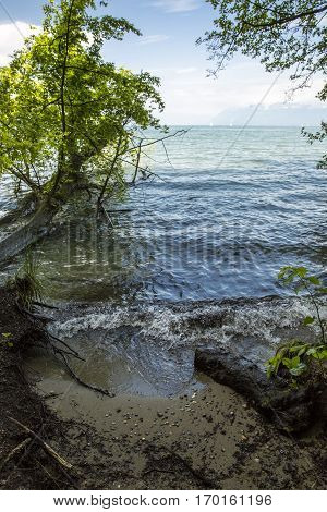 View on the geneva lake - lac Leman - on a sunny day;