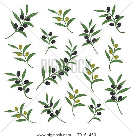 Olive branch set vector illustration. Italian sicilian or greek oil green branches symbols isolated on white background. Collection of branch olive with leaf