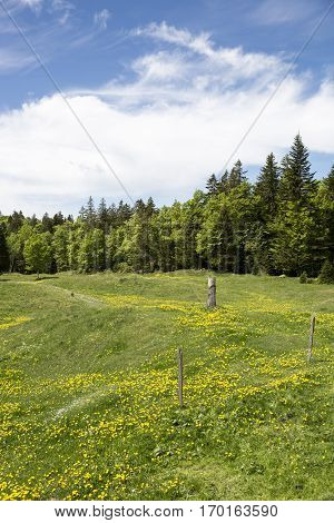 Bucolic mountain landscape with blooming green meadow Jura Switzerland