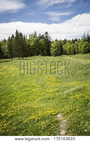 Bucolic mountain landscape with blooming green meadow Jura Switzerland