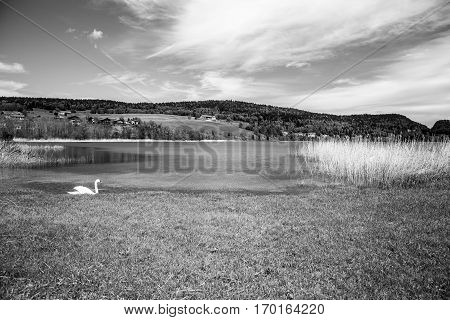 Black and white landscape of the Brenet Lake and Jura mountain Le Pont Switzerland